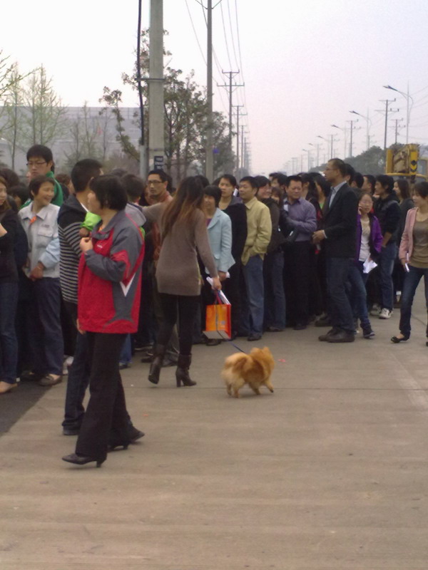 太倉(cāng)免費(fèi)披薩