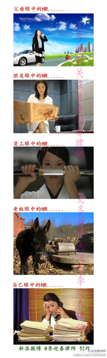 【陽光日志】大家眼中的HR