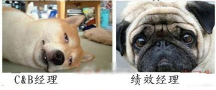 企業(yè)HR 人員表情圖  