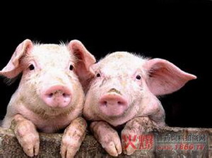 對(duì)國(guó)家發(fā)展的思考——聽《當(dāng)前時(shí)事分析與熱點(diǎn)問題探討》有感