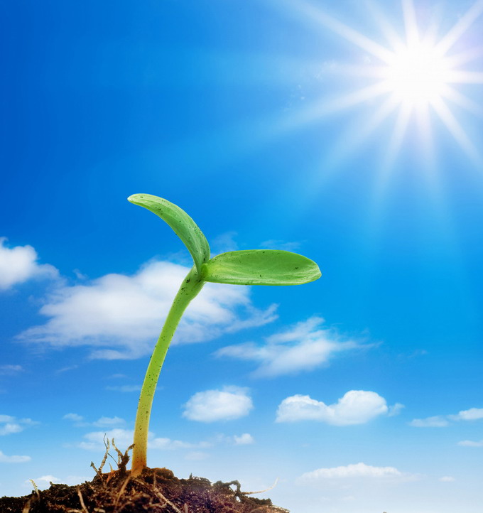 給我一點(diǎn)陽(yáng)光還您一片生機(jī) 太倉(cāng)人才網(wǎng)展望2016年