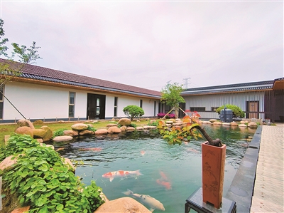 江蘇啟泓科技賦能農(nóng)業(yè)“鯉”想