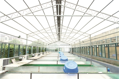 江蘇啟泓科技賦能農(nóng)業(yè)“鯉”想