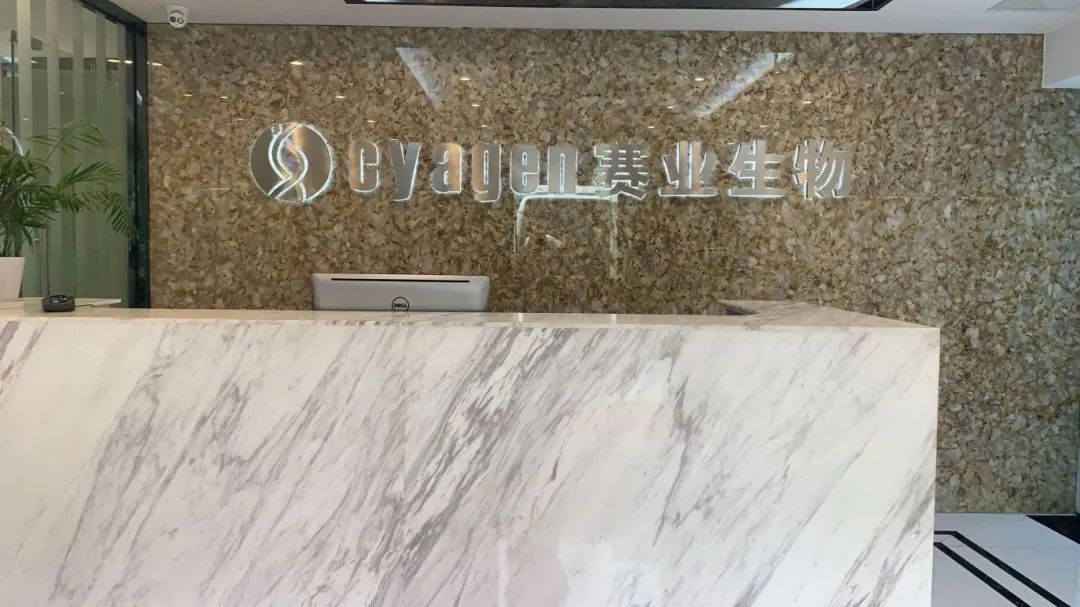 沙溪這家企業(yè)獲評(píng)“小巨人”