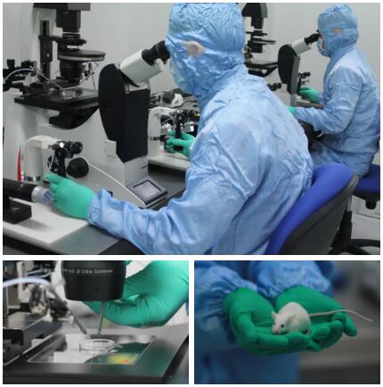 沙溪這家企業(yè)獲評(píng)“小巨人”